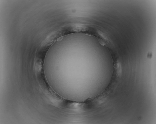 X0000111820323200908131529