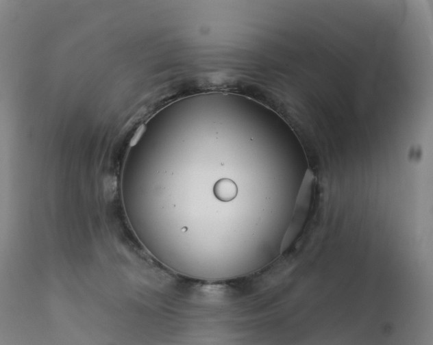 X0000111820324200908131529