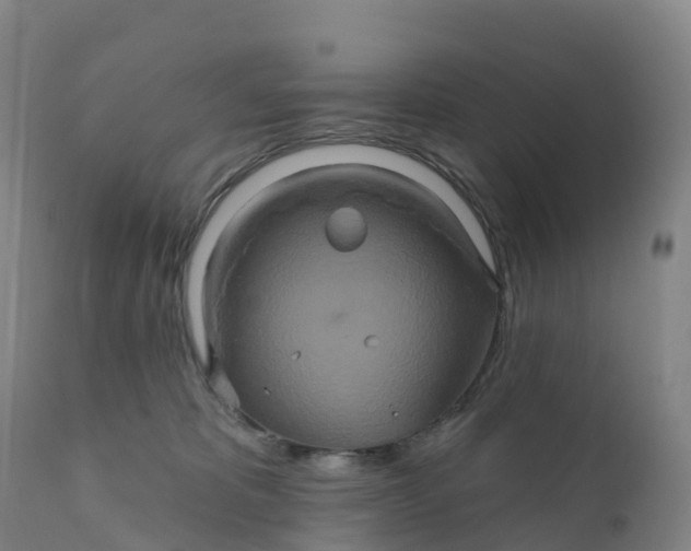 X0000111820325200908131528