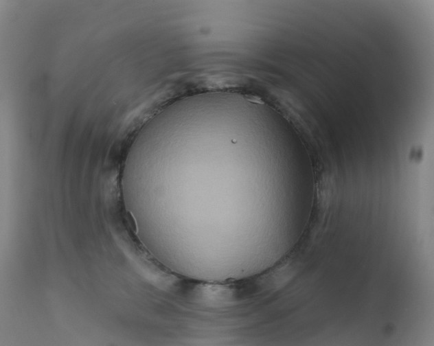 X0000111820327200908131528