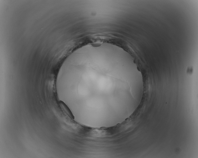 X0000111820328200908131528