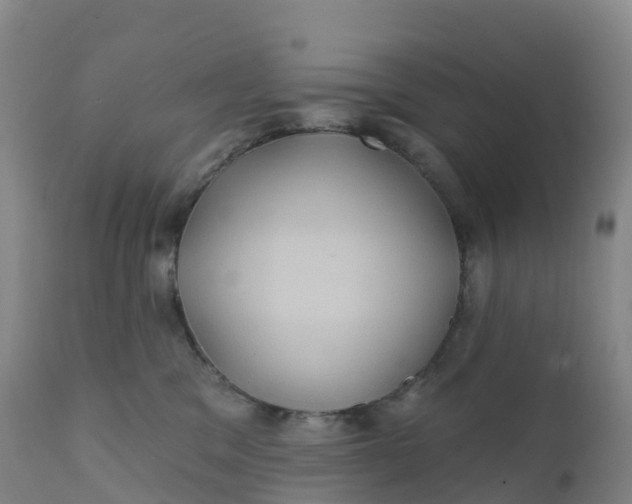 X0000111820329200908131528