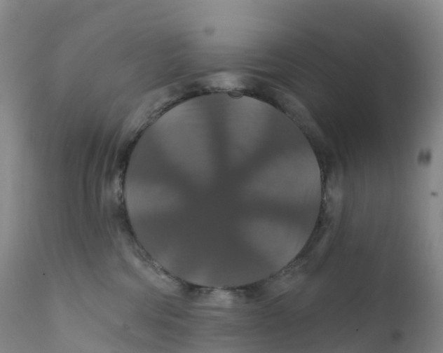 X0000111820330200908131528