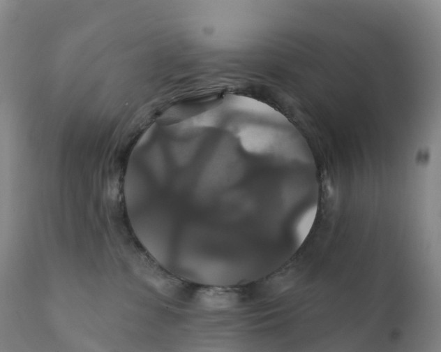 X0000111820331200908131528