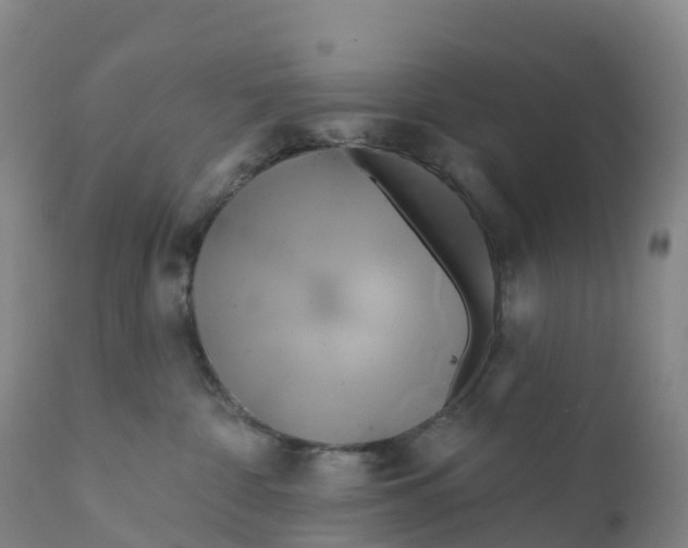 X0000111820332200908131528