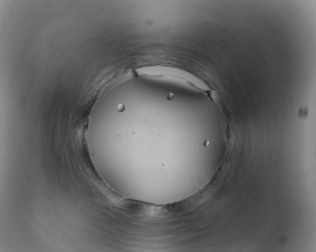 X0000111820333200908131528