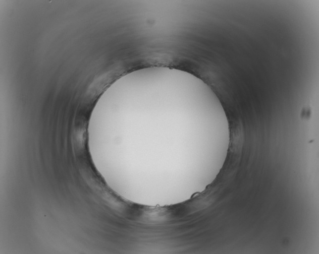 X0000111820334200908131528