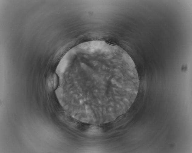 X0000111820335200908131528