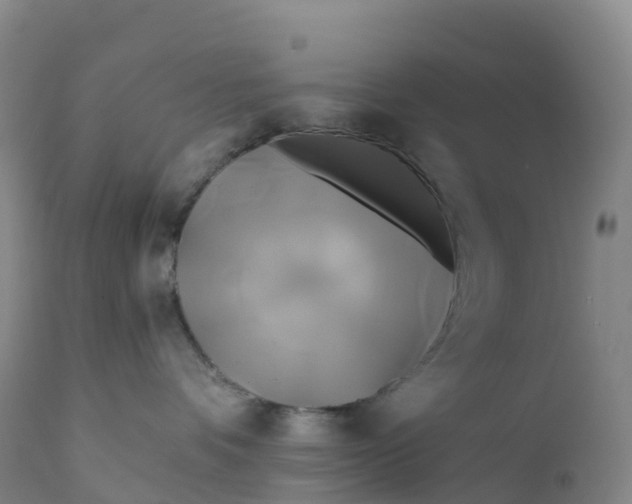 X0000111820336200908131528