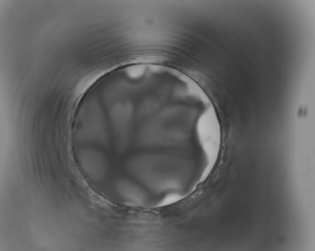 X0000111820337200908131528