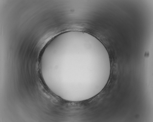 X0000111820338200908131528