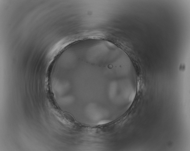 X0000111820339200908131528