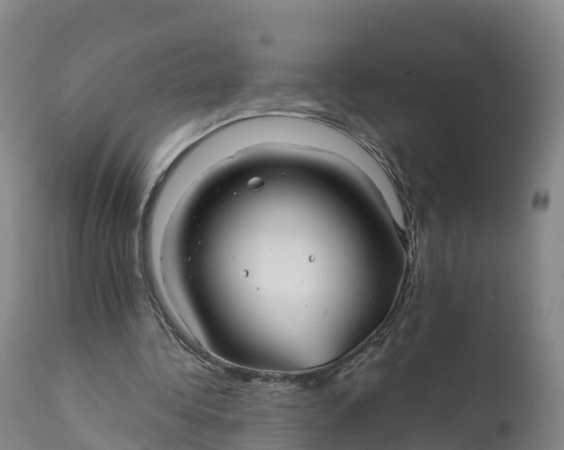 X0000111820340200908131528