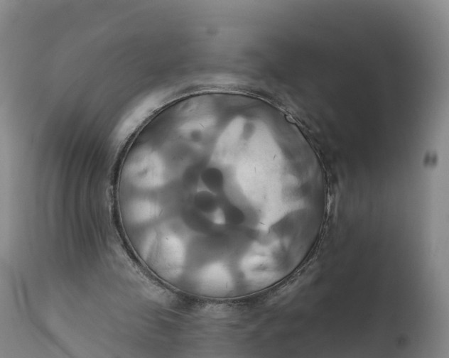 X0000111820341200908131528