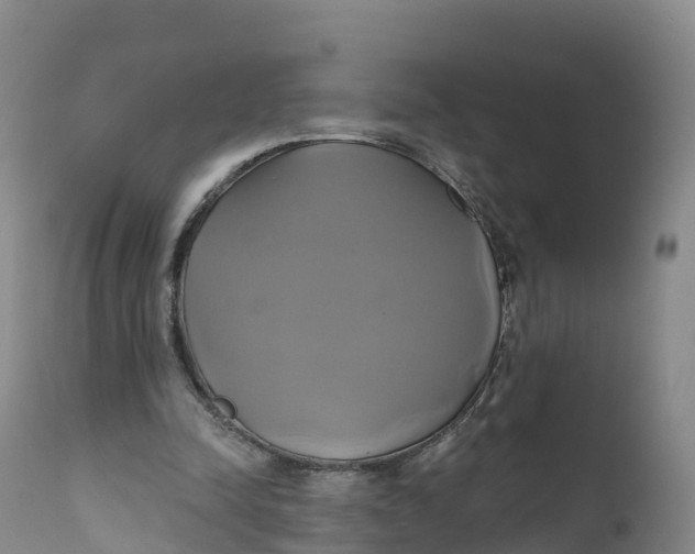 X0000111820342200908131528