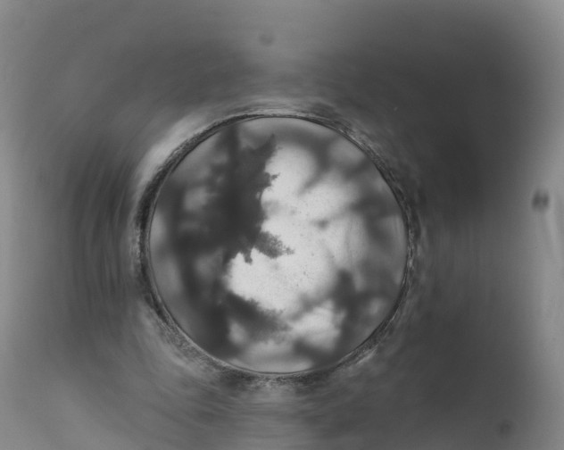 X0000111820343200908131528