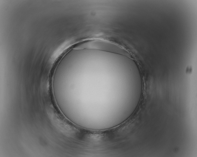 X0000111820344200908131528