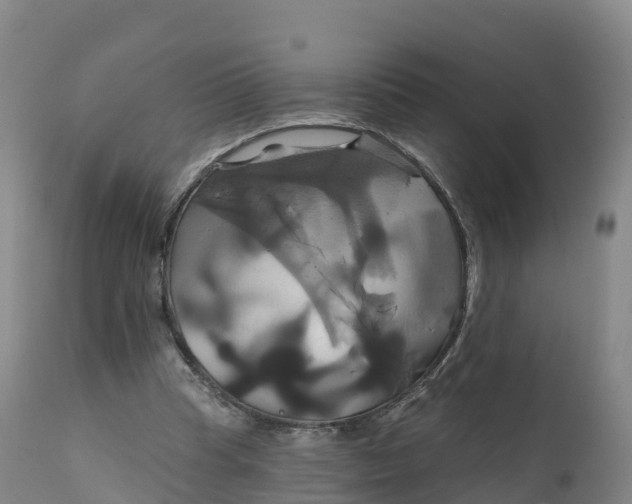 X0000111820345200908131528