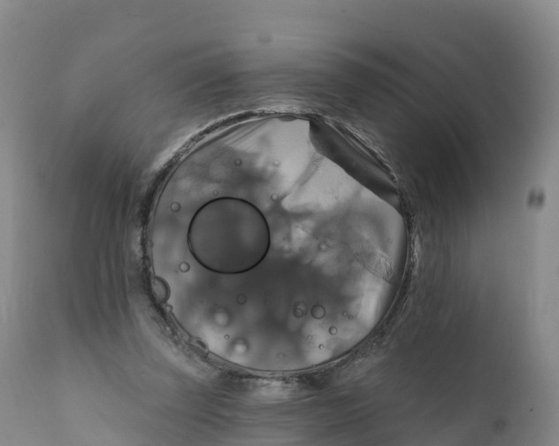 X0000111820347200908131528