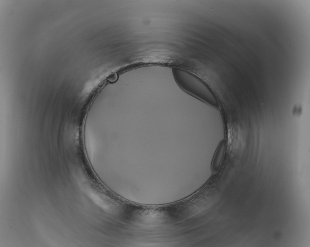 X0000111820348200908131528