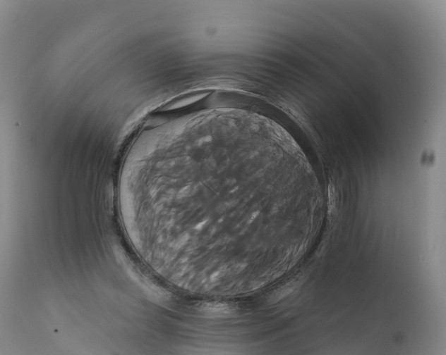 X0000111820349200908131528