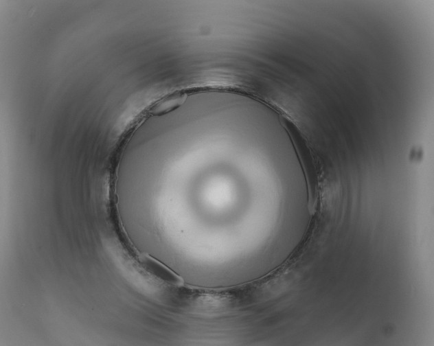 X0000111820350200908131528