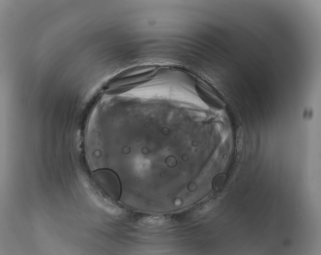 X0000111820351200908131528