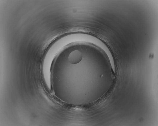 X0000111820352200908131528