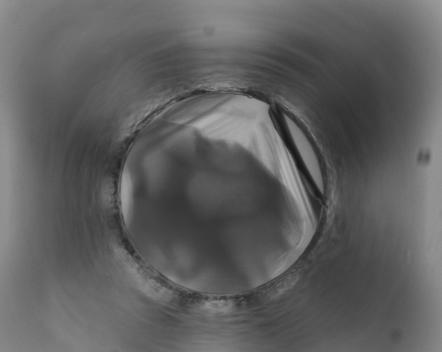 X0000111820353200908131528