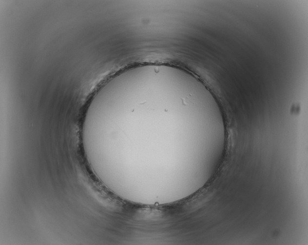 X0000111820354200908131528