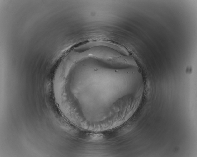 X0000111820355200908131528