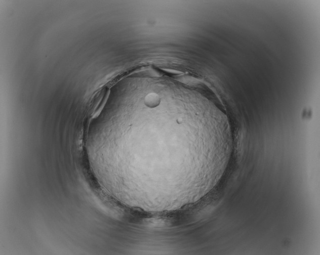 X0000111820356200908131528