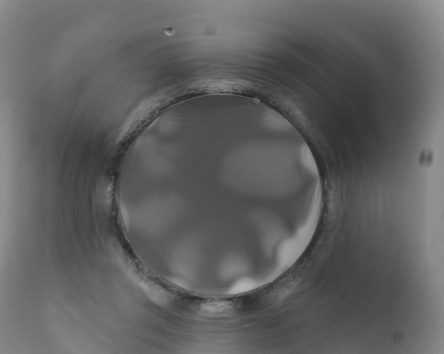 X0000111820357200908131528