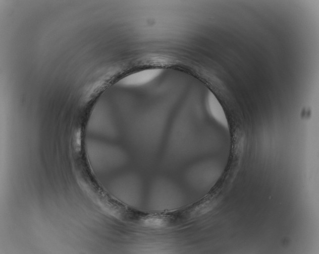 X0000111820358200908131528