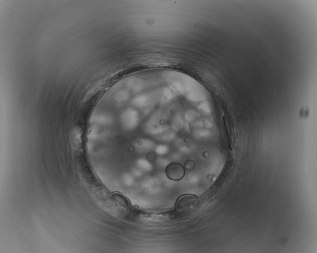 X0000111820359200908131528