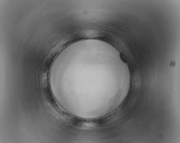 X0000111820360200908131528