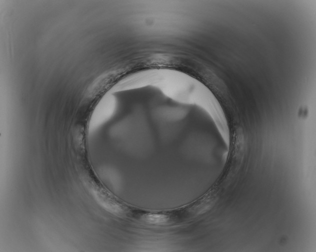 X0000111820361200908131528