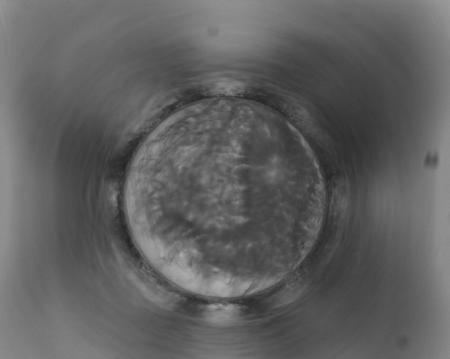 X0000111820363200908131528