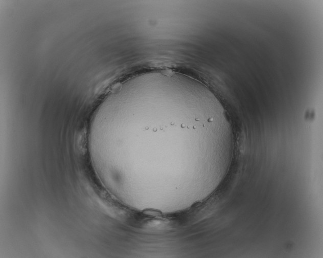 X0000111820364200908131528