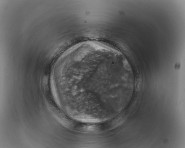 X0000111820365200908131528