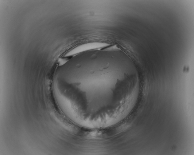 X0000111820366200908131528