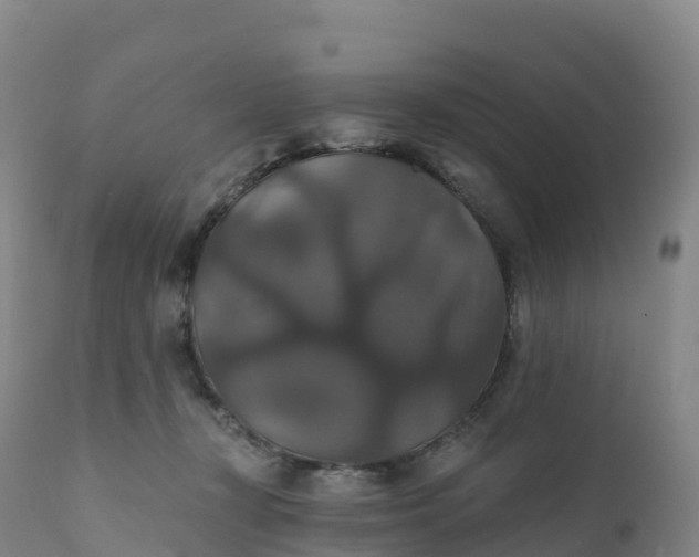 X0000111820367200908131528