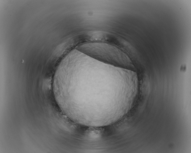 X0000111820368200908131528