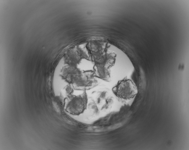 X0000111820369200908131528