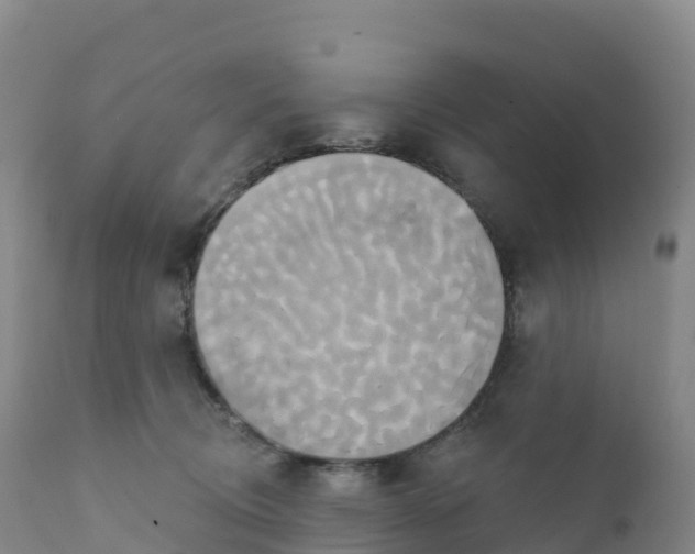 X0000111820370200908131528