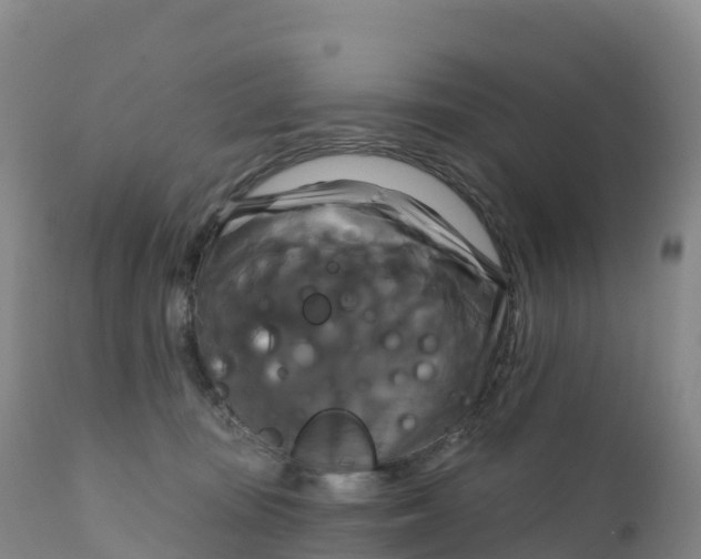 X0000111820371200908131528