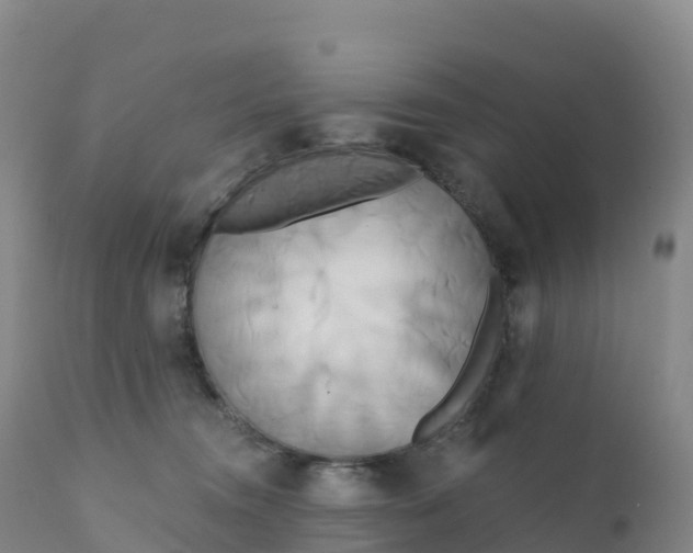 X0000111820372200908131528