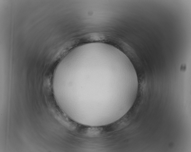 X0000111820373200908131528