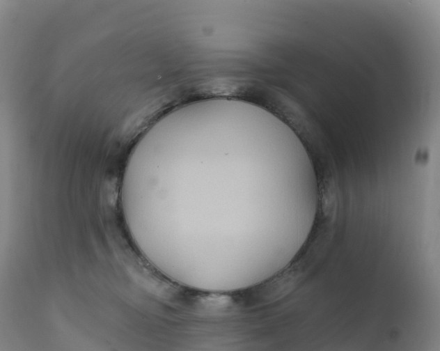 X0000111820374200908131528