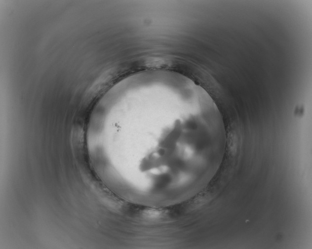 X0000111820375200908131528